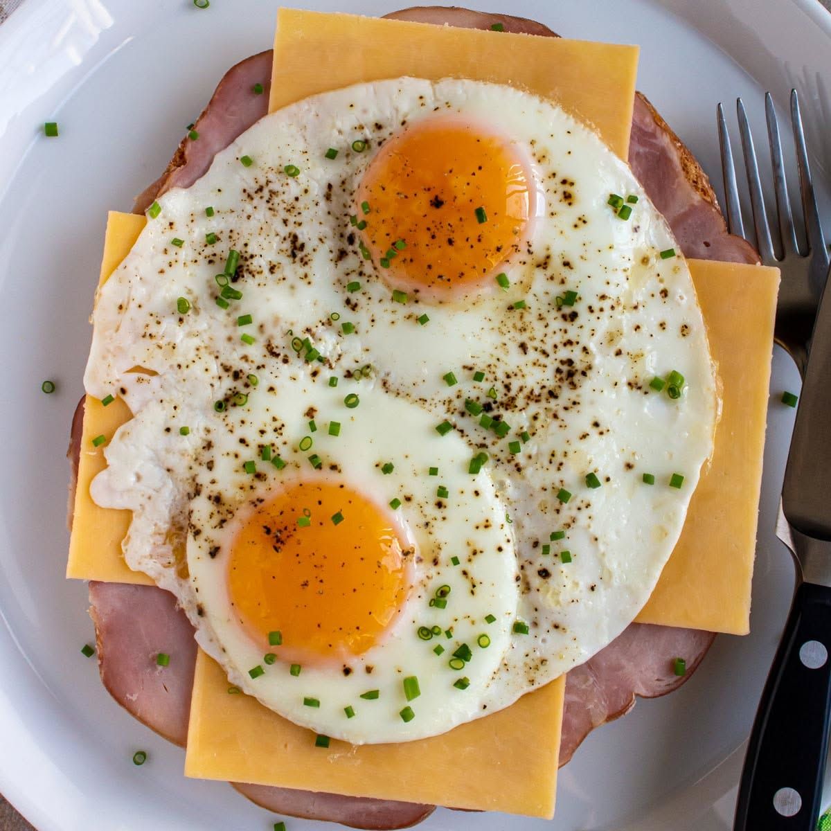 Turkey Egg and Cheese on a Roll